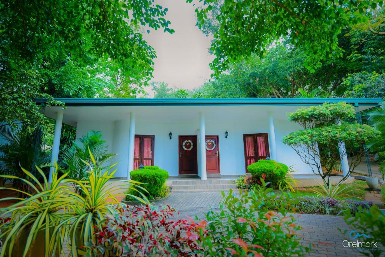 Seethawaka Regency أفيساويلا المظهر الخارجي الصورة